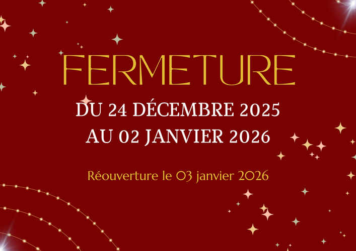 AFFICHE FERMETURE MÉDIATHÈQUE AMÉLIE GALUP VACANCES DE NOËL